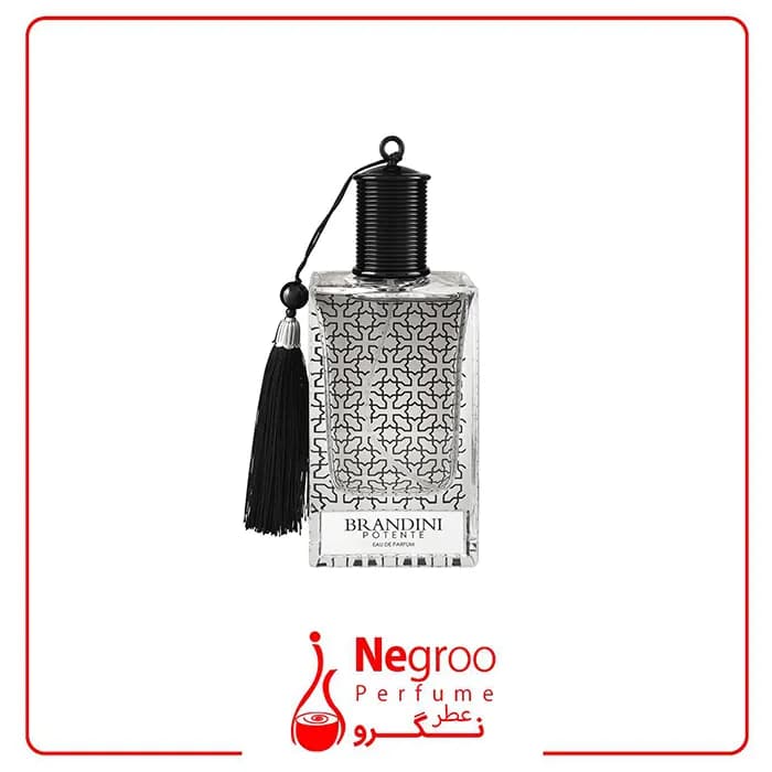 عطر مردانه پوتنته برندینی | Brandini Potente — تصویر ۶