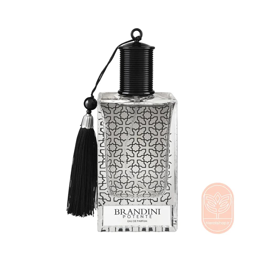 عطر مردانه پوتنته برندینی | Brandini Potente — تصویر ۳