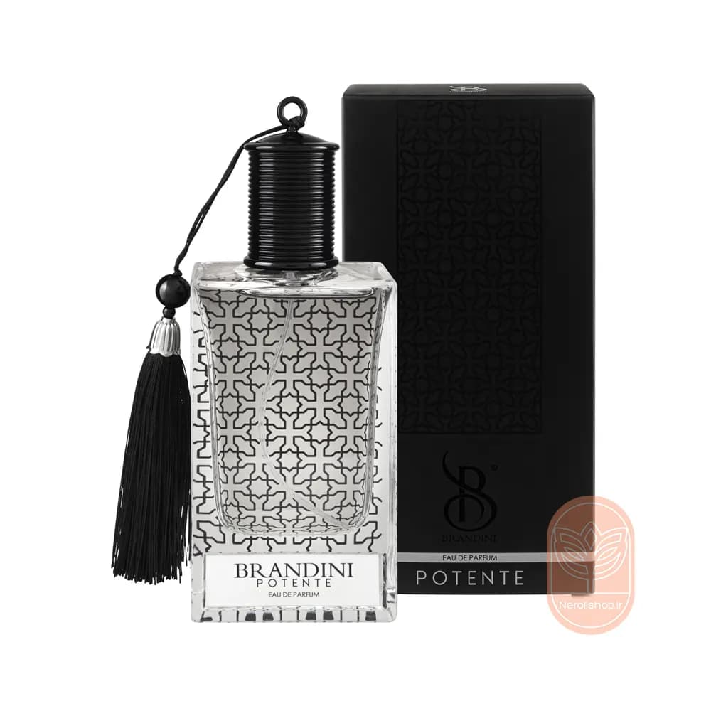 عطر مردانه پوتنته برندینی | Brandini Potente