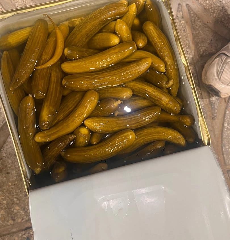 خیارشور حلب صداقت — تصویر ۲