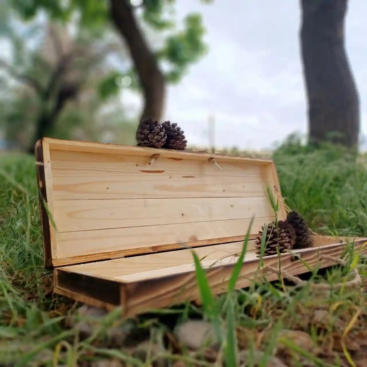 جعبه ی چوبی — تصویر ۵