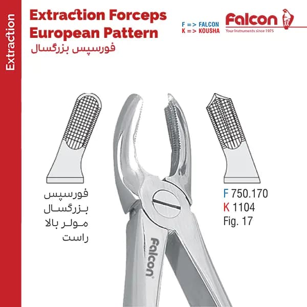 فورسپس مولر بالا راست fig:17 فالکن Falcon