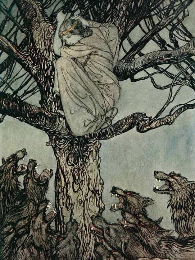 مجموعه داستان انگلیسی Irish Fairy and Folk Tales | عامیانه و جن و پری ایرلندی — تصویر ۳