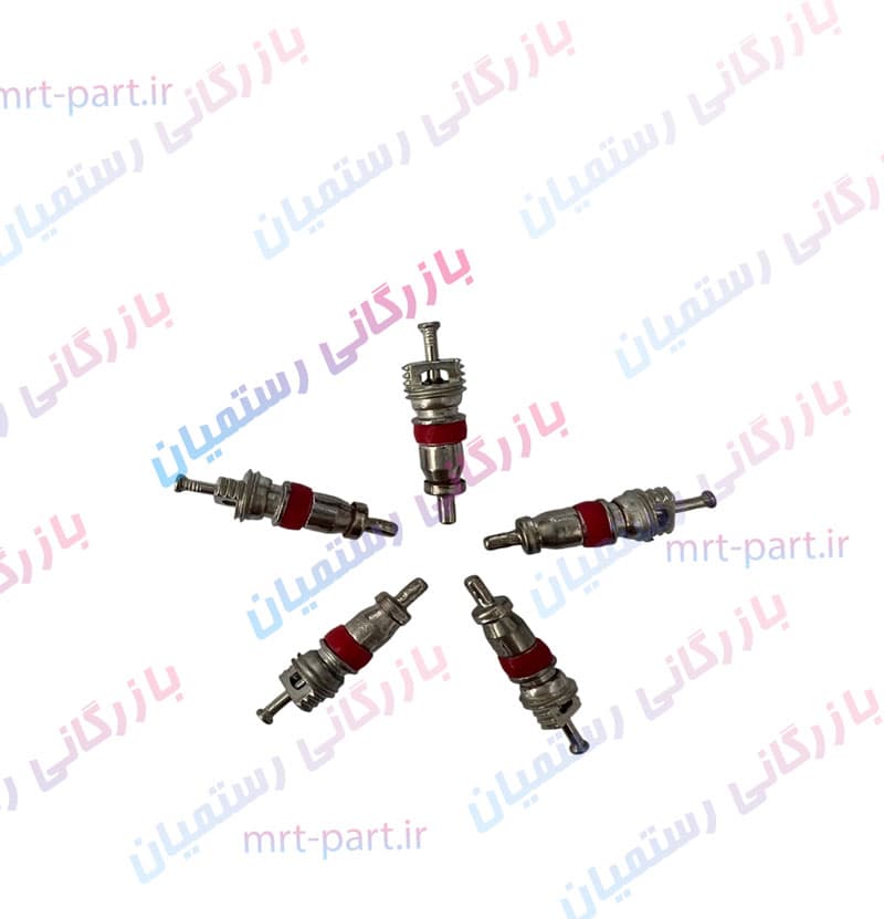 سوزن والف کولر R12