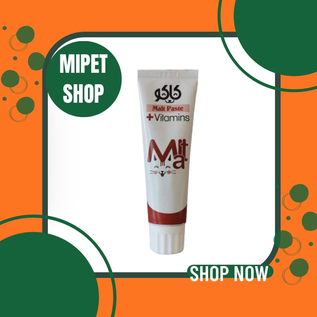 خمیر مالت ویتامینه گربه کاکو ۱۰۰ گرم | Kako Malt Paste