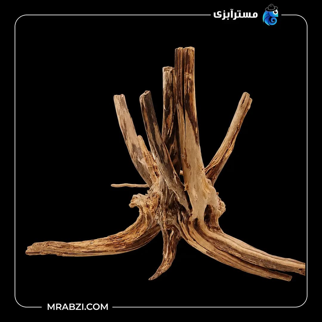 چوب تزئینی آکواریوم ریشه آبنوس (420 گرم)