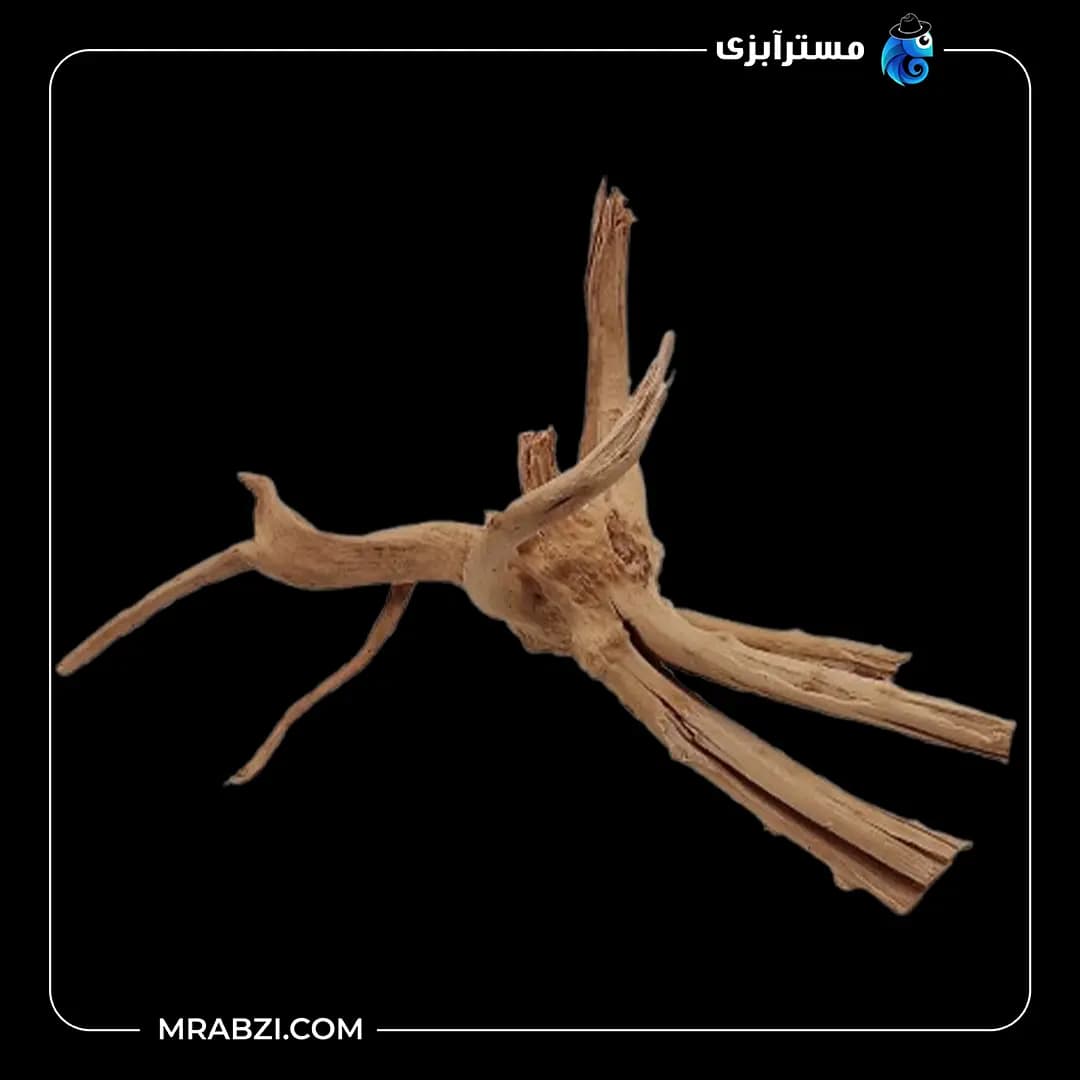 چوب تزئینی آکواریوم ریشه آبنوس (440 گرم)