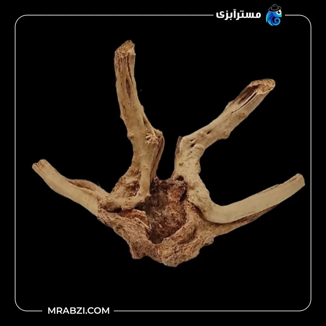چوب تزئینی آکواریوم ریشه آبنوس (380 گرم)