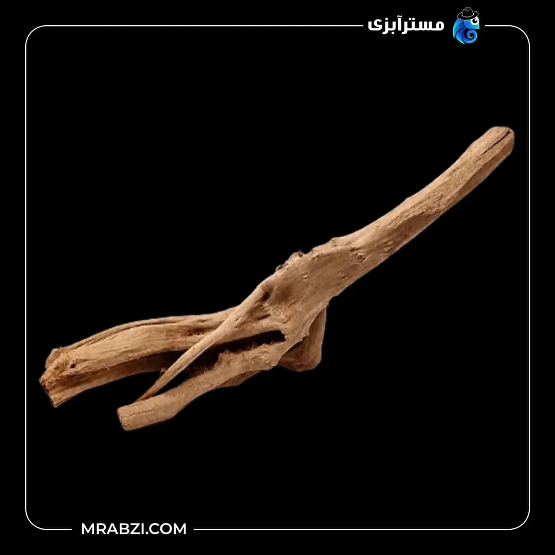 چوب تزئینی آکواریوم ریشه آبنوس (400 گرم)