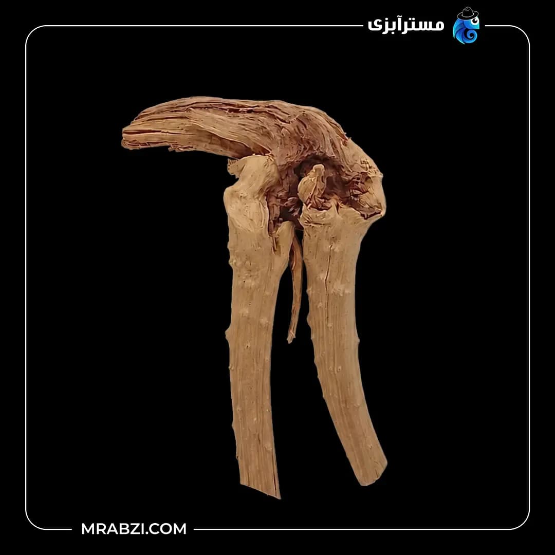 چوب تزئینی آکواریوم ریشه آبنوس (240 گرم)