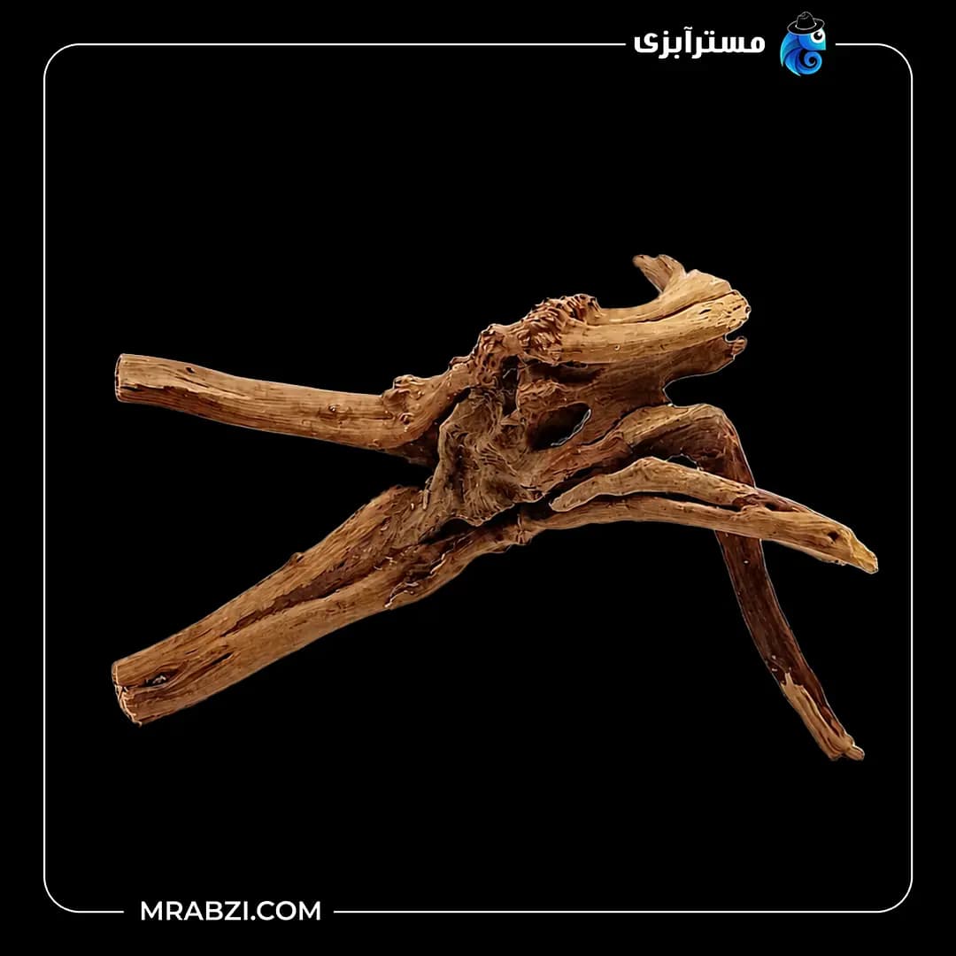 چوب تزئینی آکواریوم ریشه آبنوس (300 گرم)