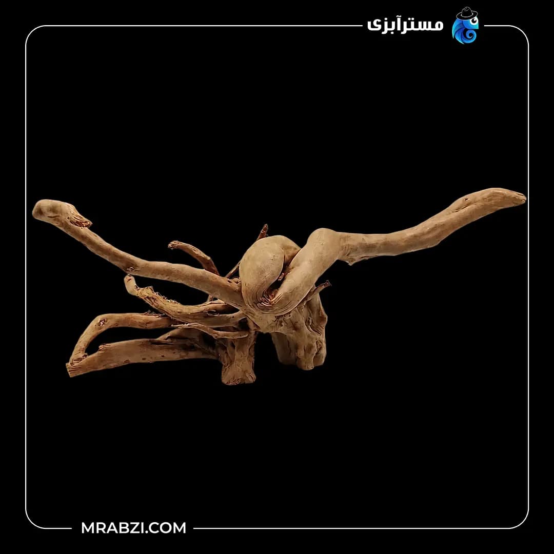 چوب تزئینی آکواریوم ریشه آبنوس (1/150 گرم)