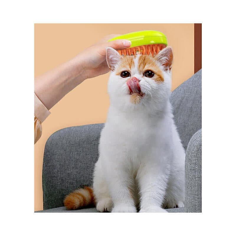 برس و ماساژور بخار حیوانات طرح انبه Spray Massage Brush