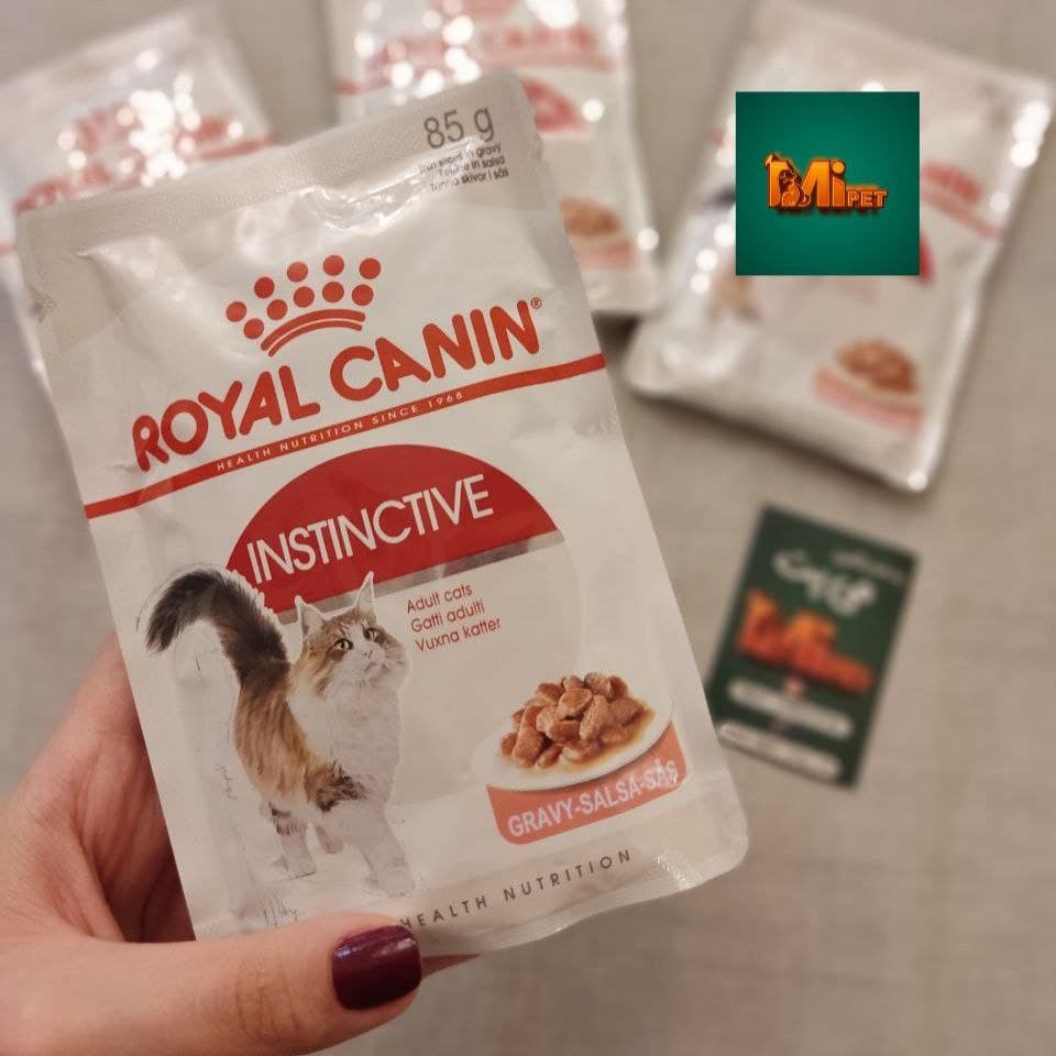 پوچ گربه رویال کنین مدل Instinctive gravy
