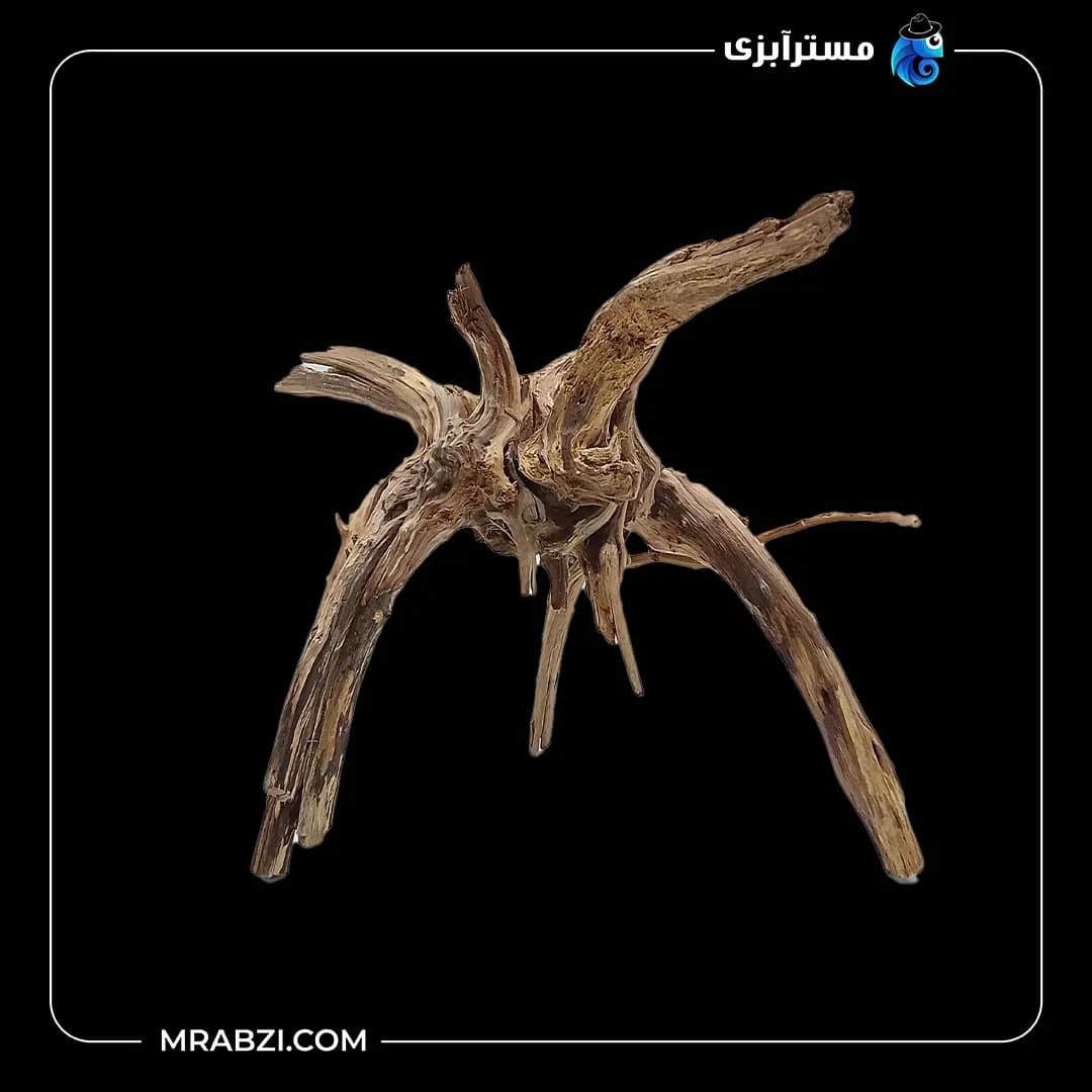 چوب تزئینی آکواریوم ریشه آبنوس (410 گرم)