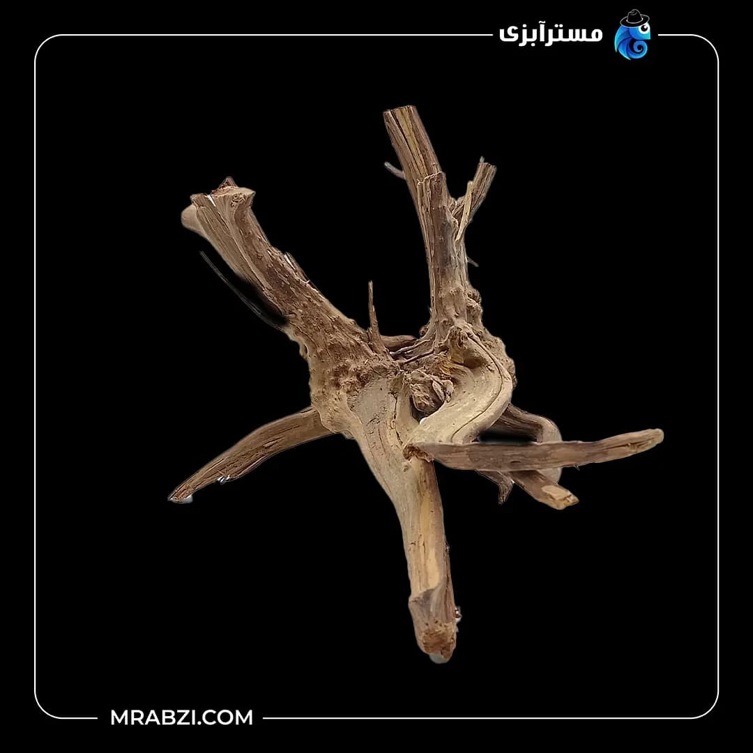 چوب تزئینی آکواریوم ریشه آبنوس (390 گرم)