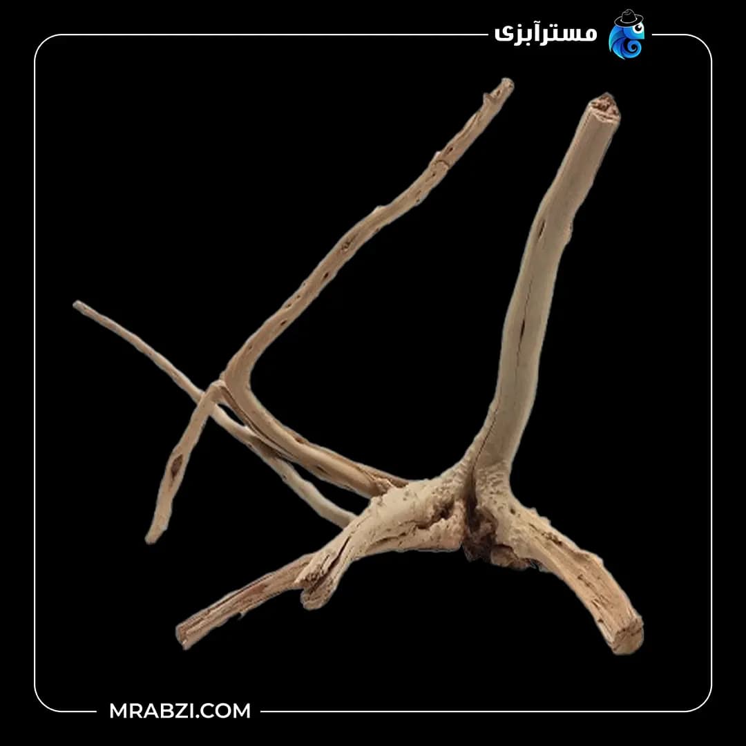 چوب تزئینی آکواریوم ریشه آبنوس (270گرم)