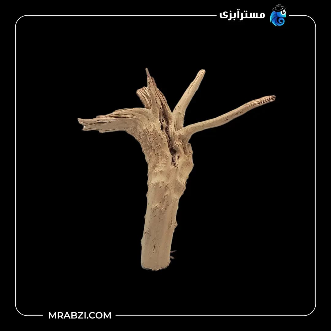 چوب تزئینی آکواریوم ریشه آبنوس (520گرم)