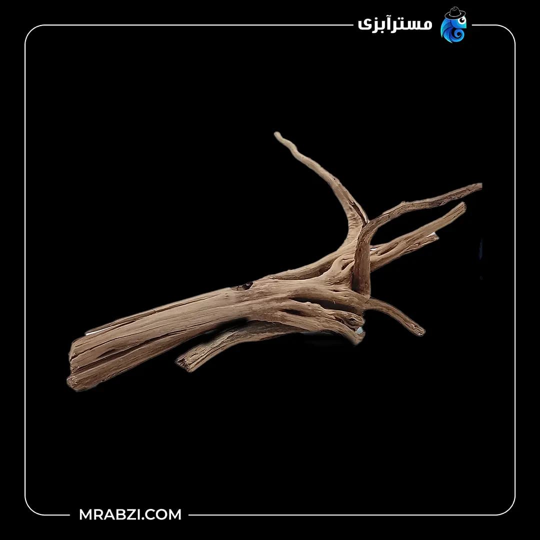 چوب تزئینی آکواریوم ریشه آبنوس (330گرم)