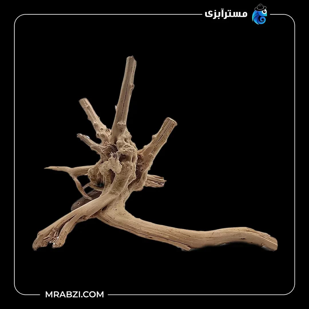 چوب تزئینی آکواریوم ریشه آبنوس (340 گرم)