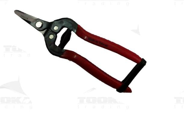 قیچی میوه چین تیغه کوتاه ROTEX