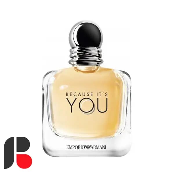 عطر ادکلن جورجیو آرمانی امپریو آرمانی بیکاز ایتس یو | Because It’s You