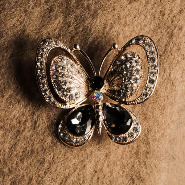گل سینه پروانه زیبا