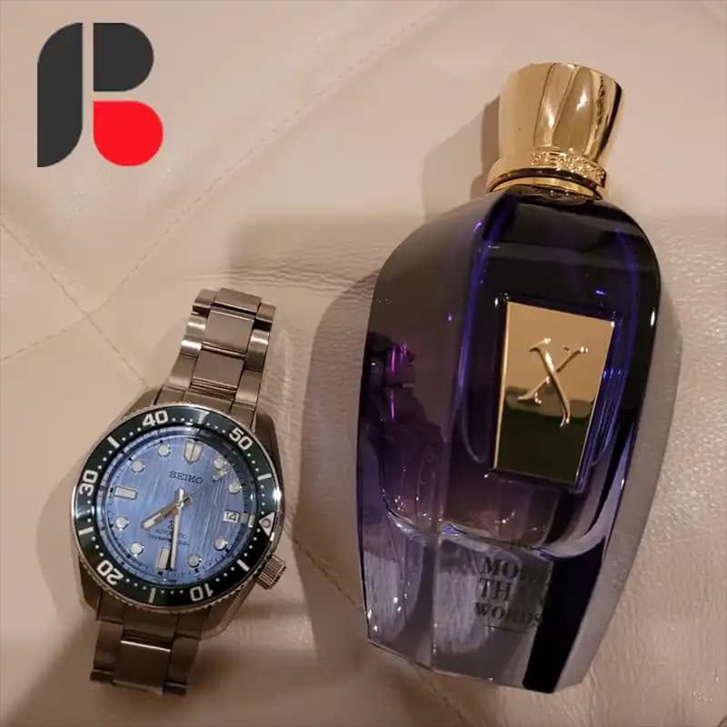 عطر ادکلن زرجف مور دن وردز | Xerjoff More Than Words — تصویر ۲