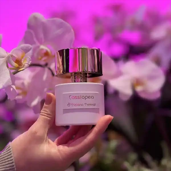 عطر ادکلن تیزیانا ترنزی کسیوپا | Tiziana Terenzi Cassiopea — تصویر ۷