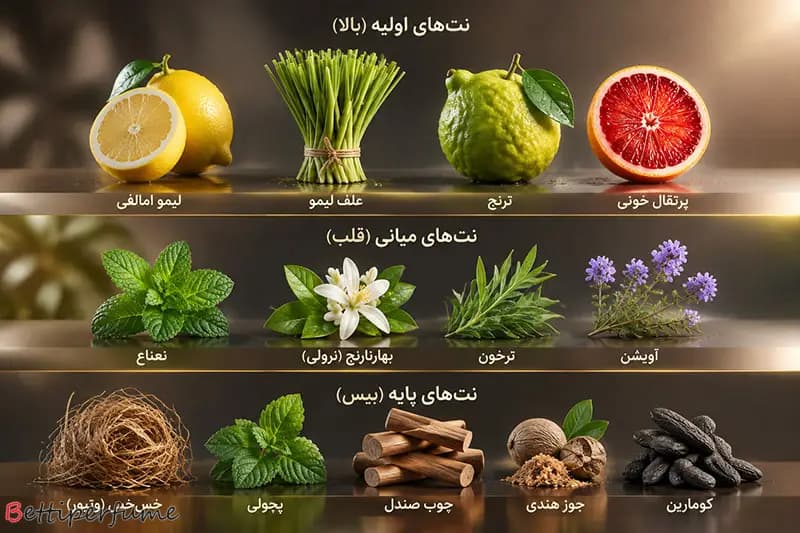 عطر ادکلن کازاموراتی زرجف فیئرو | Xerjoff Casamorati Fiero — تصویر ۴