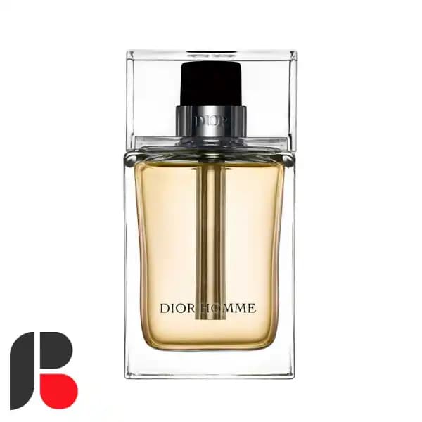 عطر ادکلن دیور هوم (نقره‌ای) | Dior Homme EDT