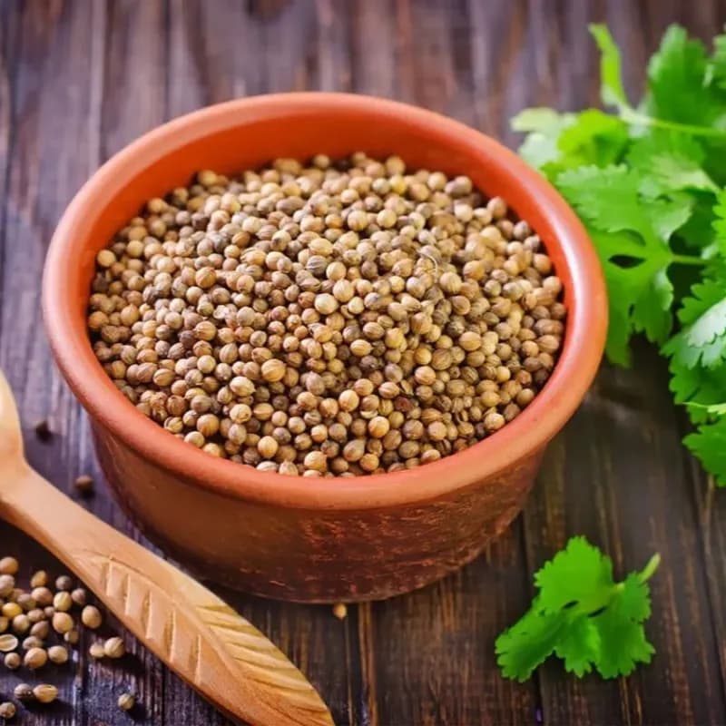 تخم گشنیز 100 گرم
