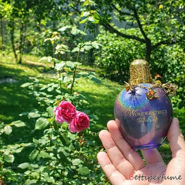 عطر ادکلن تیلور سویفت واندر استراک | Wonderstruck Taylor Swift — تصویر ۳