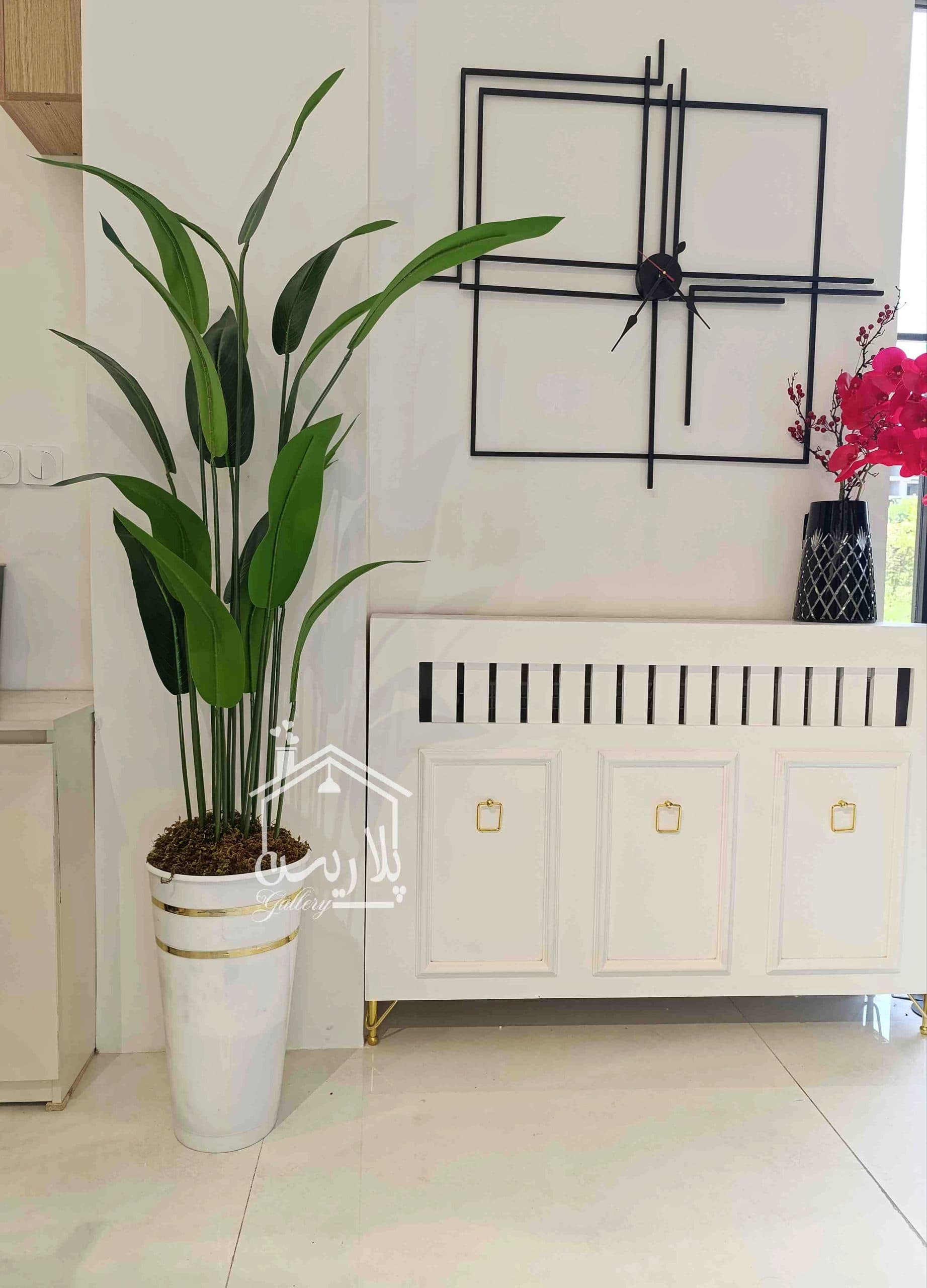 درختچه نیکولای یا پرنده بهشتی 180سانت 17شاخه