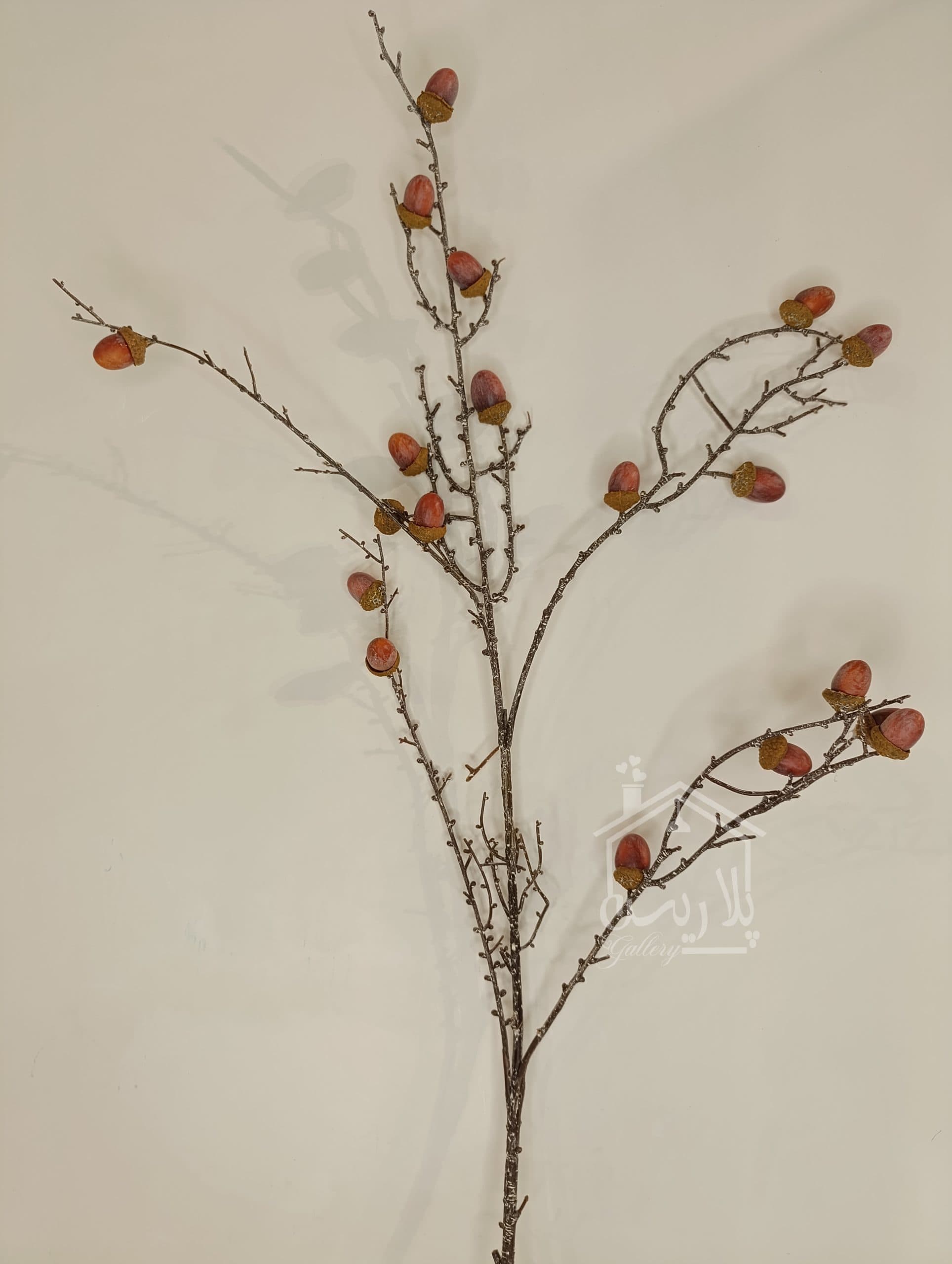شاخه بلوط بلند 90098