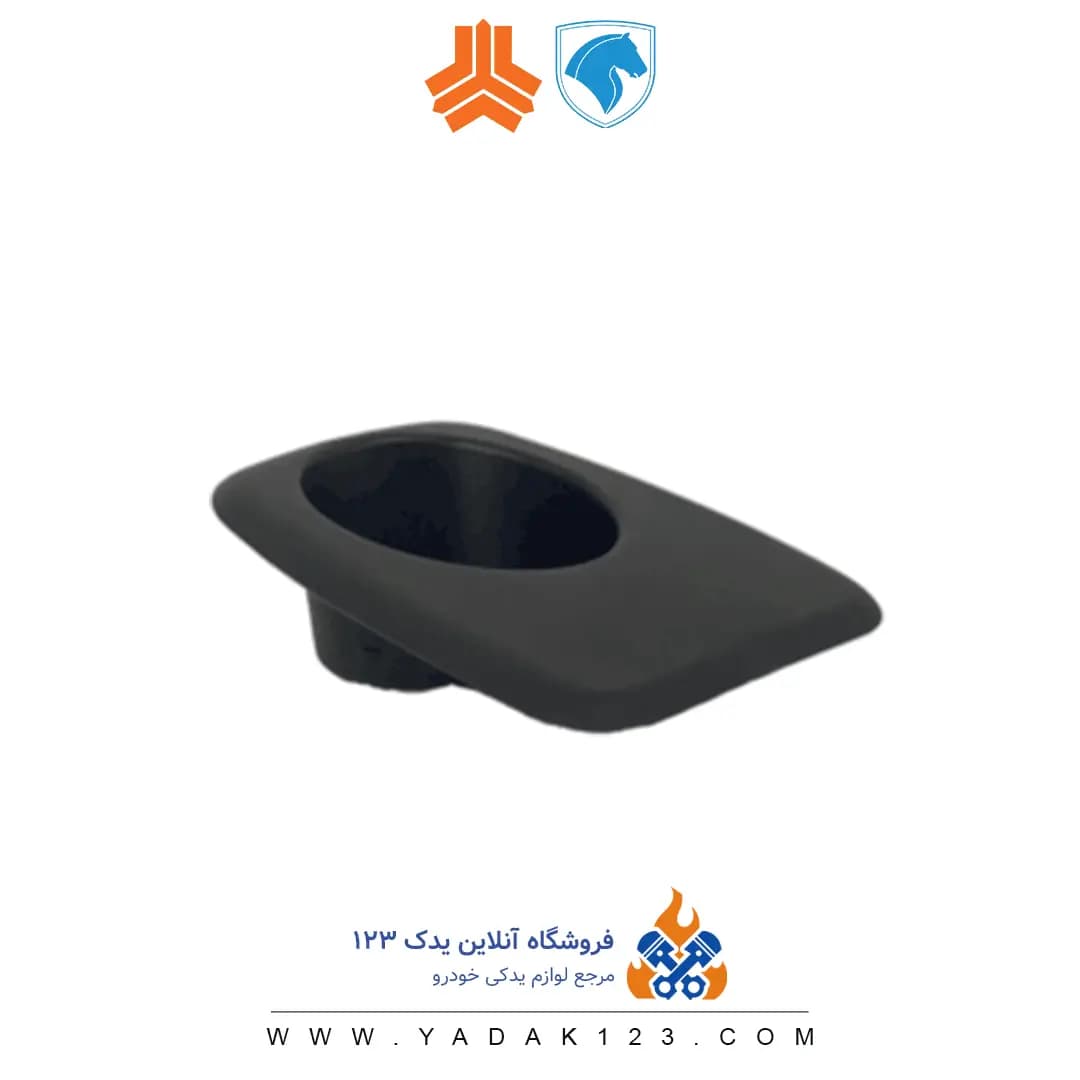 جالیوانی آرسی ( RC ) پژو