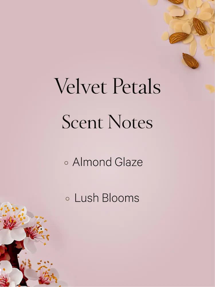 لوسیون بدن ویکتوریا سیکرت Velvet Petals حجم 236 میلی‌لیتر — تصویر ۲