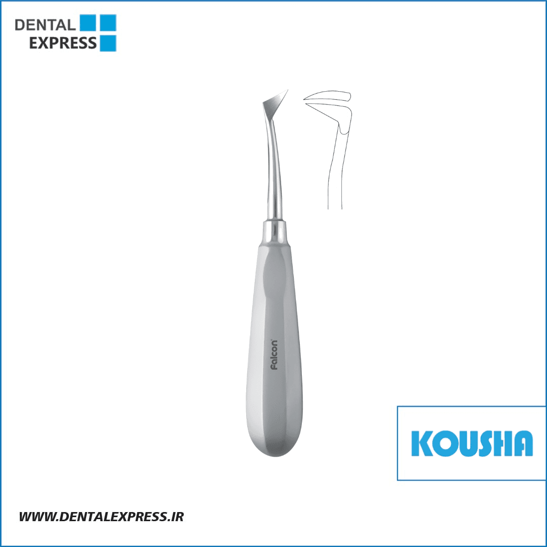 الواتور پرچمي سلدين راست Root Seldin کوشا – Kousha
