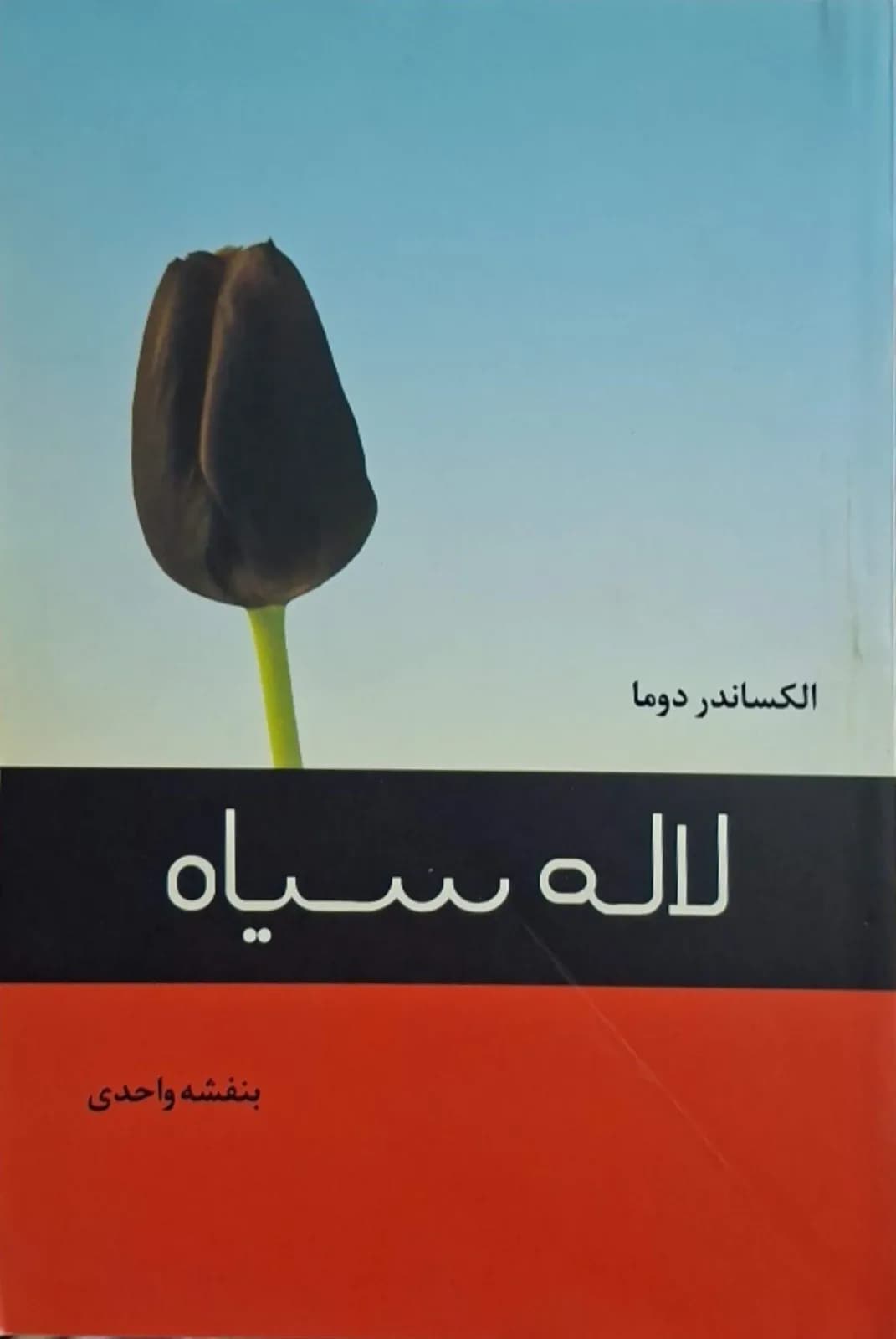 لاله سیاه | الکساندر دوما