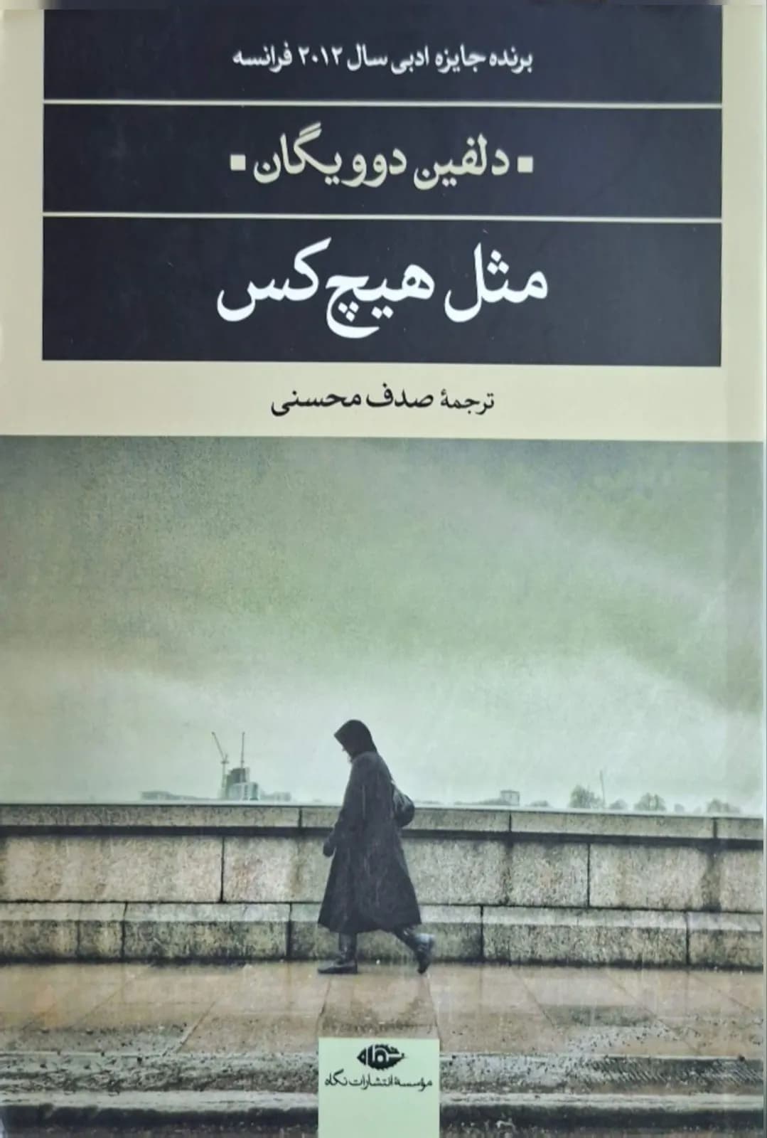 مثل هیچکس | دلفین دوویگان — تصویر ۲