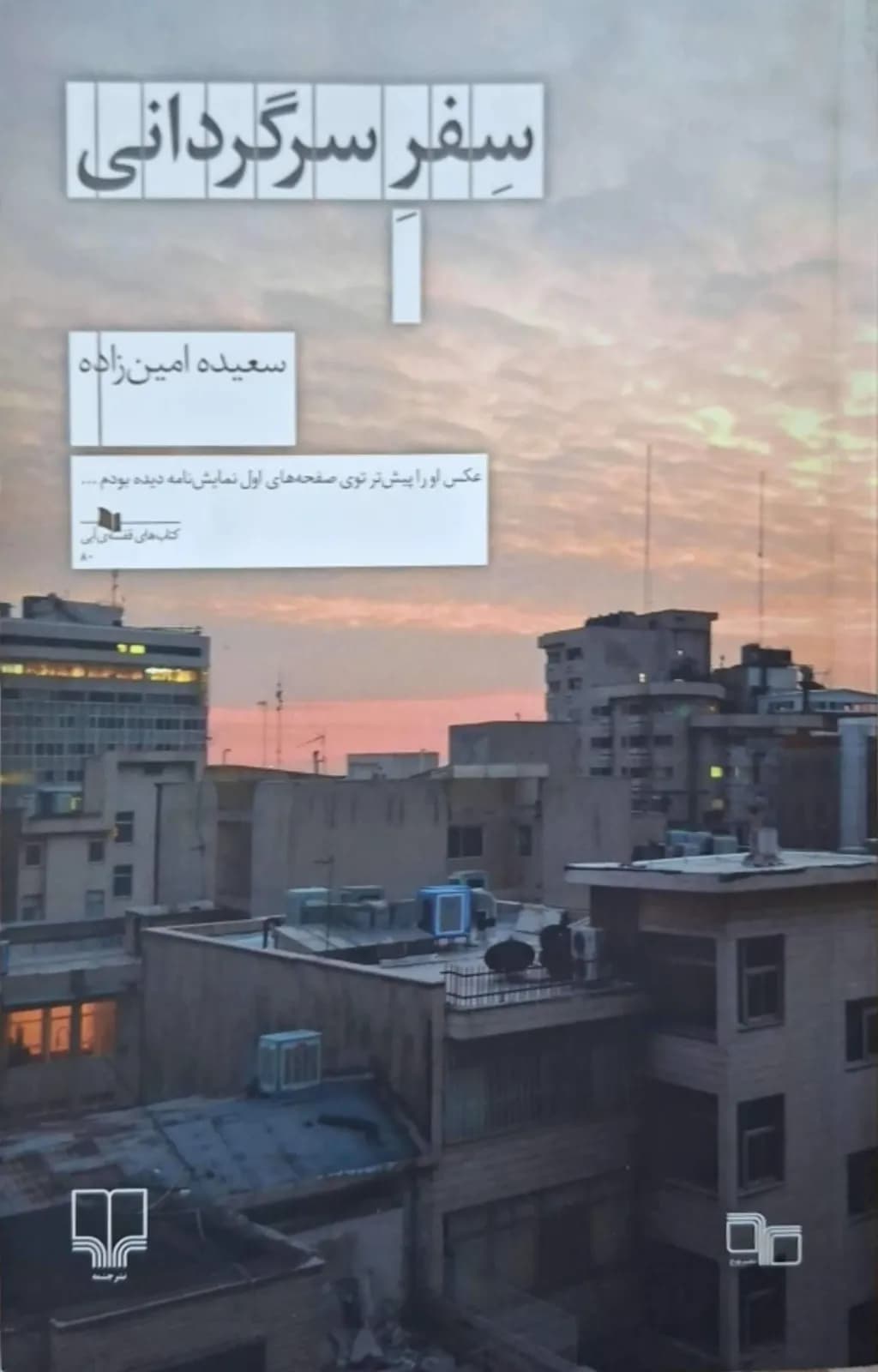 سفر سرگردانی | سعیده امین‌زاده — تصویر ۲