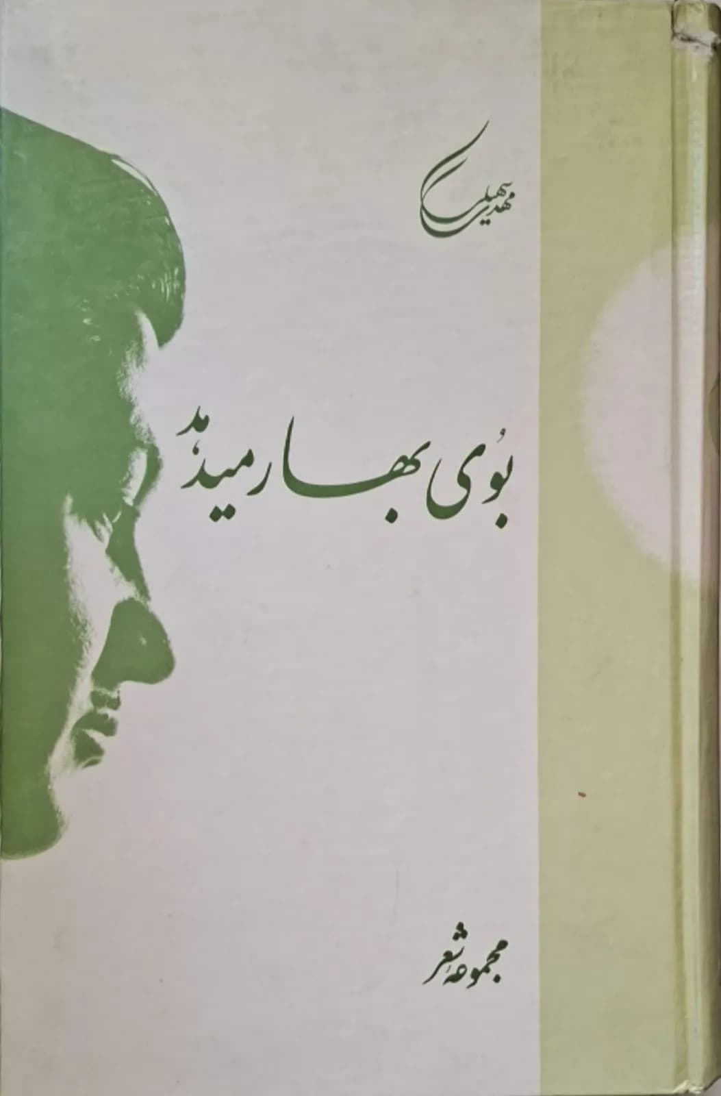 بوی بهار می‌دهد | مهدی سهرابی