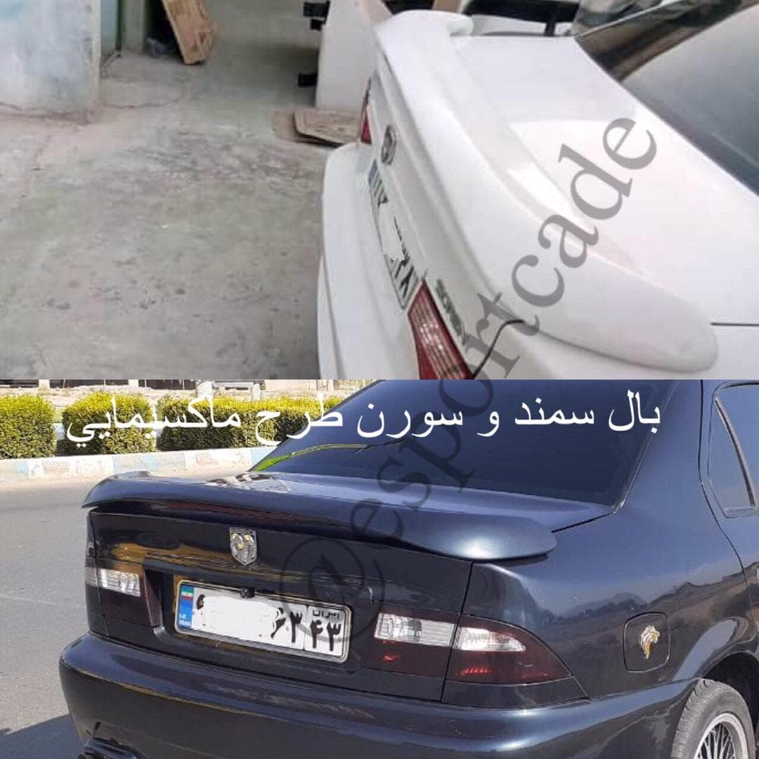 بال سمند ماکسیمایی
