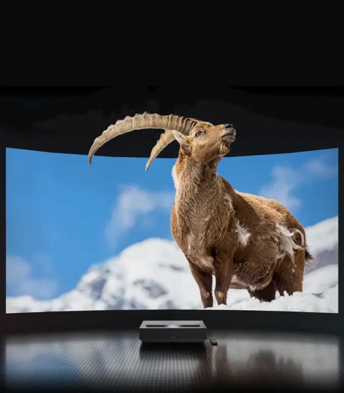 ویدئو پروژکتور Wemax Nova SE 4K UHD | اصلی و اورجینال — تصویر ۸