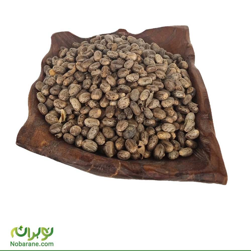 دانه کرچک (بذر کرچک)