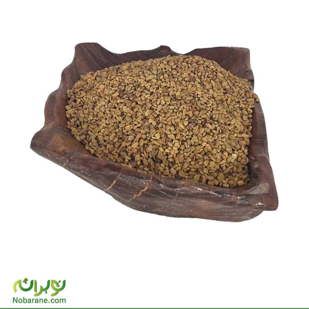 بذر شنبلیله ایرانی