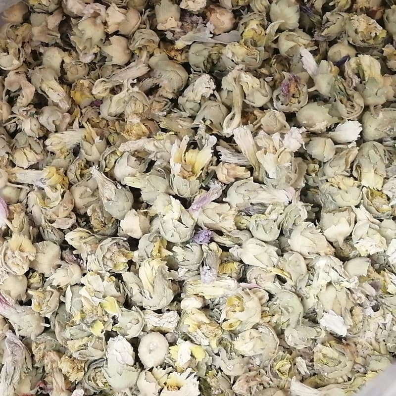 گل ختمی سفید — تصویر ۴