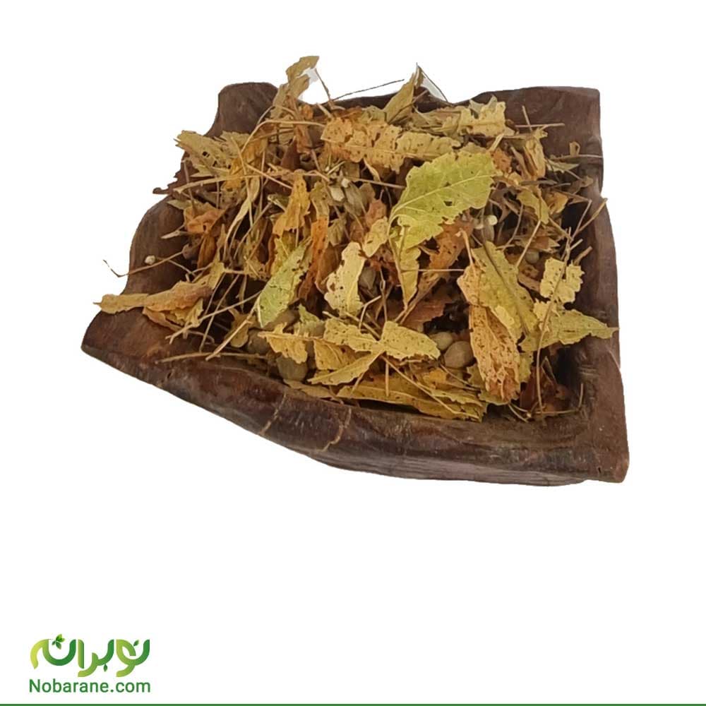 برگ تیول (زیرفون)