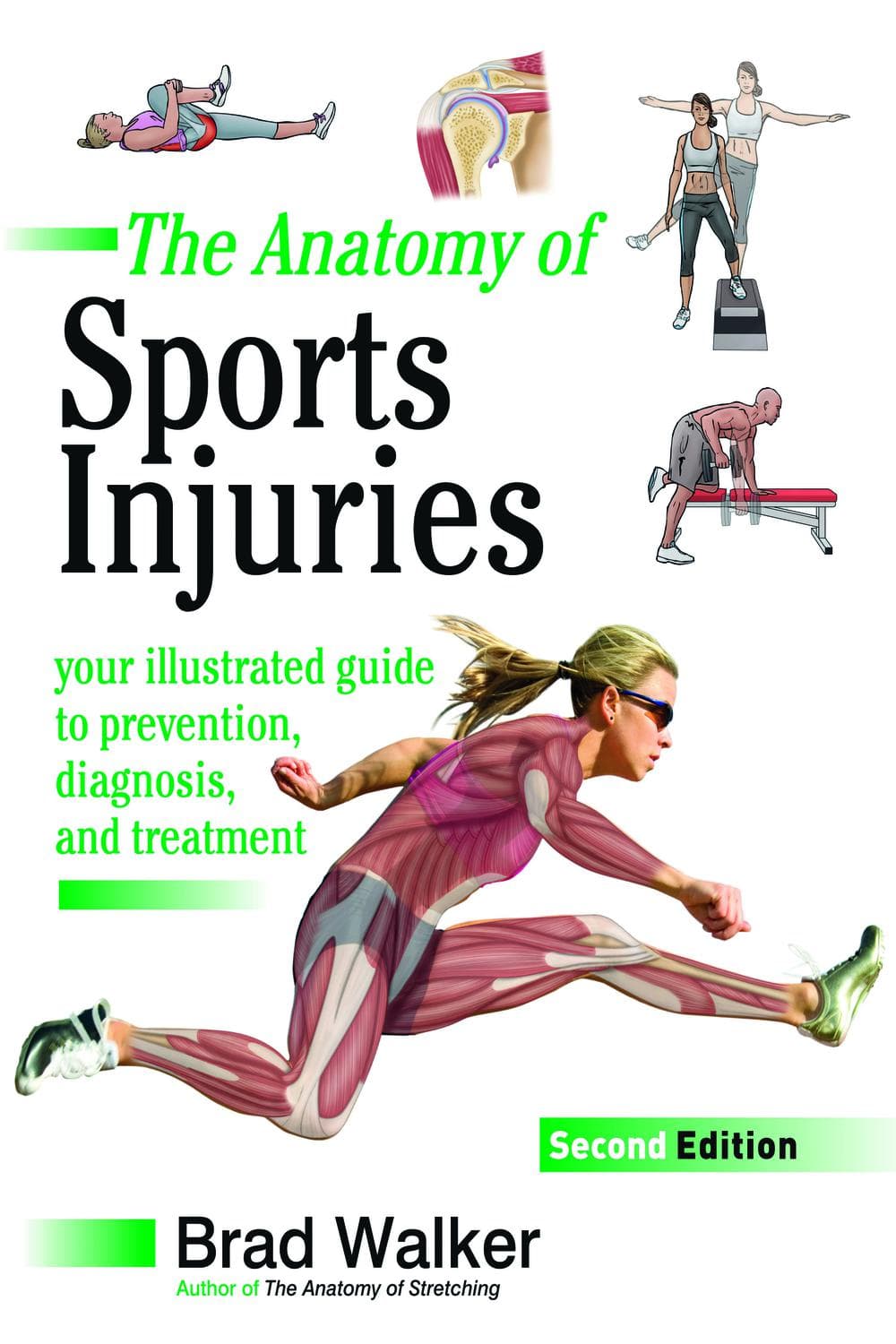 آناتومی آسیب‌های ورزشی، ویرایش دوم ۲۰۱۸ <br> The Anatomy of Sports Injuries, Second Edition 2018