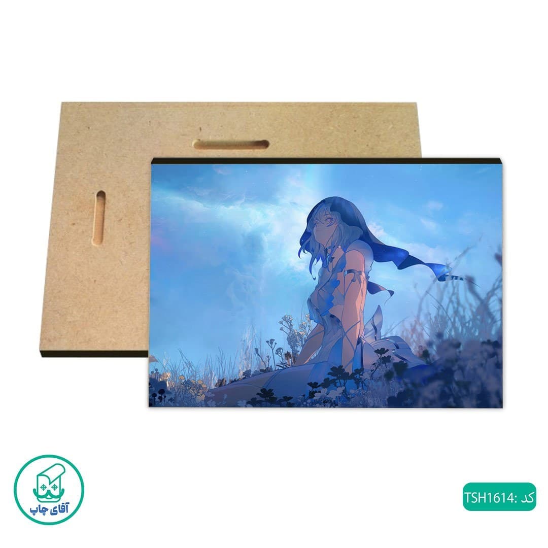 شاسی عکس بازی Wuthering Waves کد TSH1614